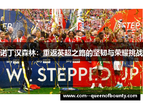 诺丁汉森林：重返英超之路的坚韧与荣耀挑战