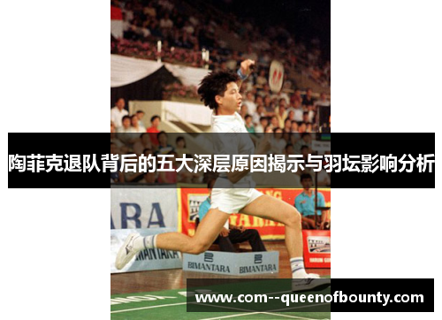 陶菲克退队背后的五大深层原因揭示与羽坛影响分析